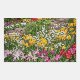 Bunte Frühlingsblumen in voller Blüte Rechteckiger Aufkleber