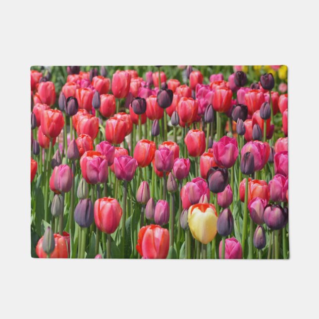 Bunte Frühlingstulpen Fußmatte (Vorderseite)