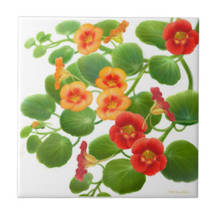 Bunte Garten-Kapuzinerkäse-Blumen-Fliese Fliese