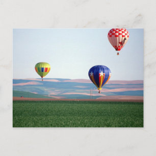 Bunte Heißluftballons schwimmen über Weizen Postkarte