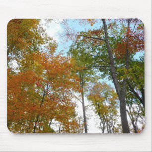 Bunte Herbstblätter in die Höhe blickend Mousepad