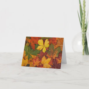 Bunte Herbstblätter Notizkarte Feiertagskarte
