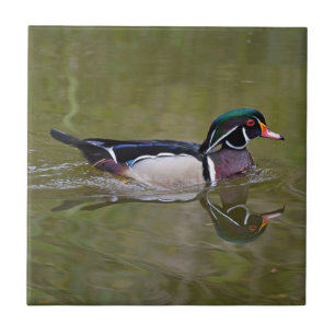 Bunte hölzerne Ente Fliese