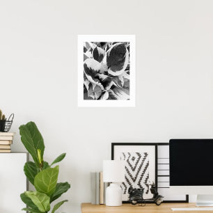 Bunte Hosta Schwarz-Weiß-Blumenbild Poster