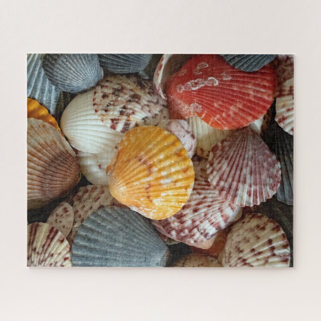 Bunte Kammmuscheln Puzzle (Horizontal)