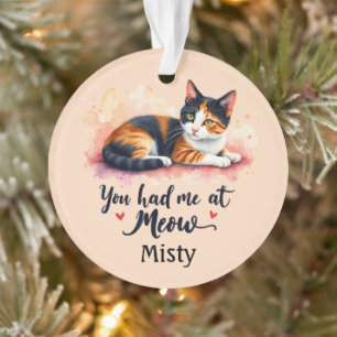 Bunte Katze - Du hast mich bei Miau Wasserfarbe um Ornament
