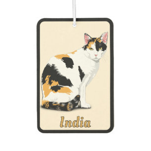 Bunte Katze Personalisiert Autolufterfrischer