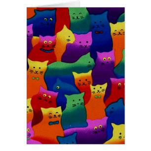 Bunte Katzen