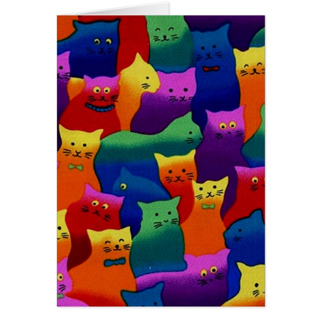 Bunte Katzen (Vorne)