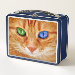 Bunte Katzenaugen Metall Brotdose