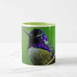 Bunte Kolibri-Tasse Zweifarbige Tasse