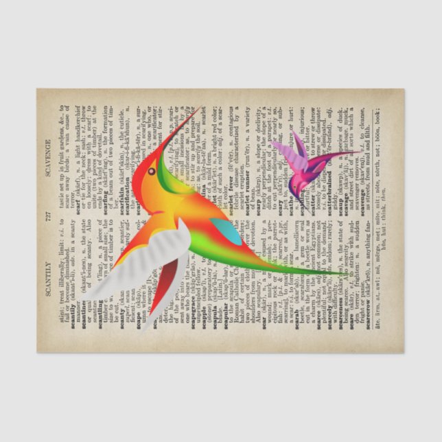 Bunte Kolibris auf Vintager Wörterbuch-Seite Seidenpapier (Vorderseite)