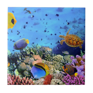 Bunte Korallenriff-Lebewesen Fliese