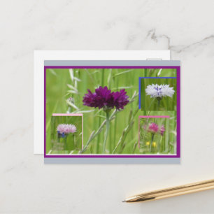 Bunte Kornblumen Collage DIY Postkarte