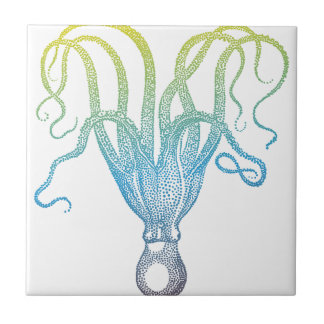 bunte Kraken-Silhouette Fliese