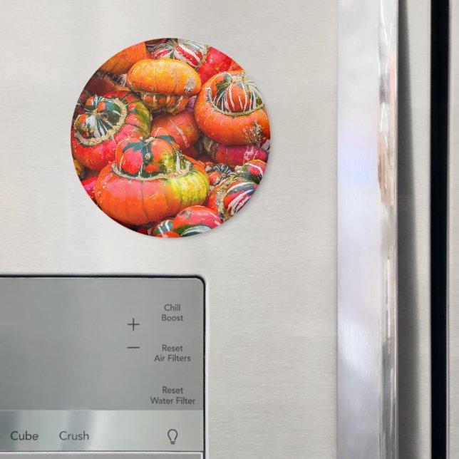 Bunte Kürbis Magnet (In Situ (Kühlschrank))