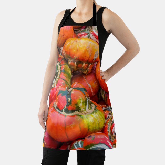 Bunte Kürbis Schürze (InSitu)