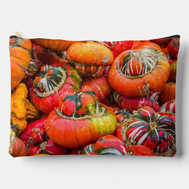 Bunte Kürbis Zubehörtasche (Vorderseite)