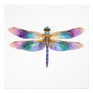 Bunte Libelle – Irisierende Naturkunst Fotodruck