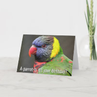 Bunte Lorikeet Geburtstags-Karte