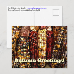 Bunte Maiskörner Foto Postkarte