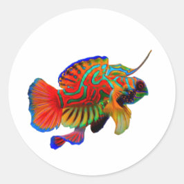 Bunte Mandarin-Fisch-Aufkleber - Exotisches Riff Runder Aufkleber