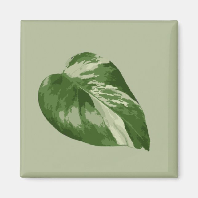 Bunte Monstera Albo Magnet (Vorne)