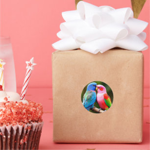 Bunte Papageien sitzen zusammen Runder Aufkleber