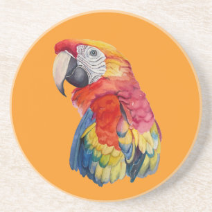 Bunte Papageien-Wasserfarben-Illustration Getränkeuntersetzer