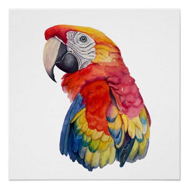 Bunte Papageien-Wasserfarben-Illustration Poster (Vorderseite)