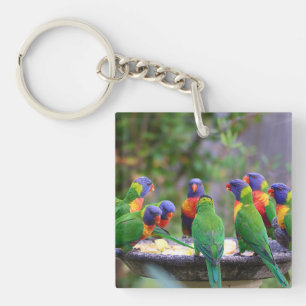 Bunte Regenbogenloris Papageien beim Essen Schlüsselanhänger