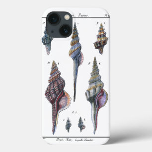 Bunte sieben Seashells Case-Mate iPhone Hülle