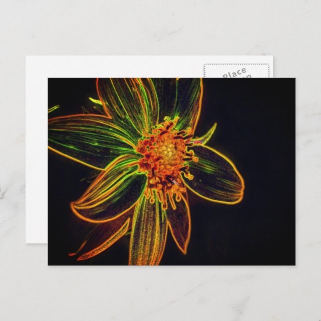 Bunte Sonnenblumen-Abstract Flower Art Postkarte (Vorne/Hinten)