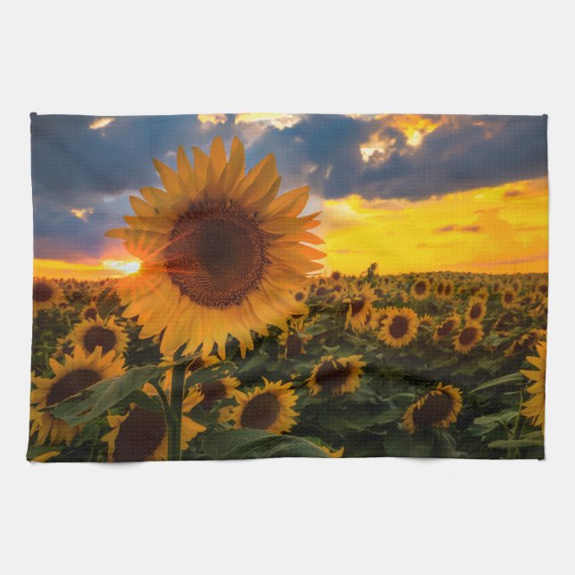 Bunte Sonnenblumen auf einem Gebiet Küchentuch (Horizontal)