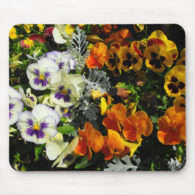 bunte Stiefmütterchen Mousepad (Vorne)