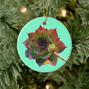 Bunte Sukkulente Sempervivum Pflanze Garten Keramik Ornament