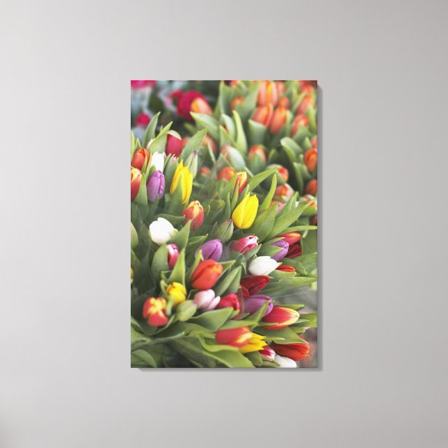 Bunte Tulpen Leinwanddruck (Vorderseite)