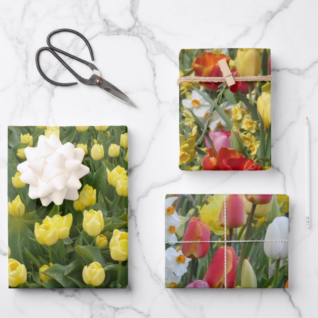 Bunte Tulpen- und Narzissen-Geschenkpapierbögen Geschenkpapier Set (Vorderseite)