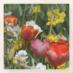 Bunte Tulpen- und Osterglocken-Blumenuntersetzer Glasuntersetzer