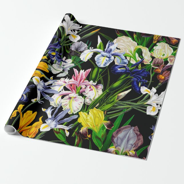 Bunte viktorianische Iris-Blumen auf schwarzem Geschenkpapier (Ungerollt)