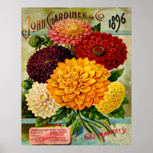 Bunte Vintage Dahlie-Blumen Poster