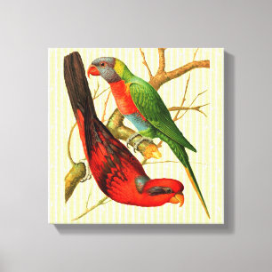 Bunte Vintage-Illustration roter und grüner Papage Leinwanddruck