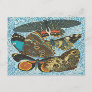 Bunte Vintage Schmetterling Botanische Kunst Postkarte