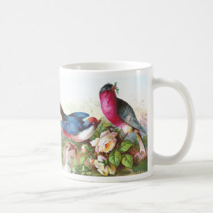 Bunte Vögel, Rosen u. Waterspout Tasse