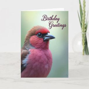 Bunte Vogelkunst-Geburtstagskarte Karte