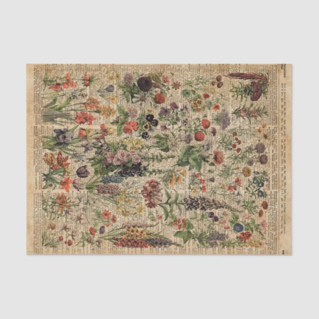 Bunte Wiesen-Blumen-Kraut-Wörterbuch-Kunst Seidenpapier (Vorderseite)