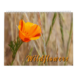 Bunte Wildblumen Kalender