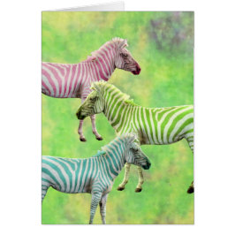 Bunte Zebras