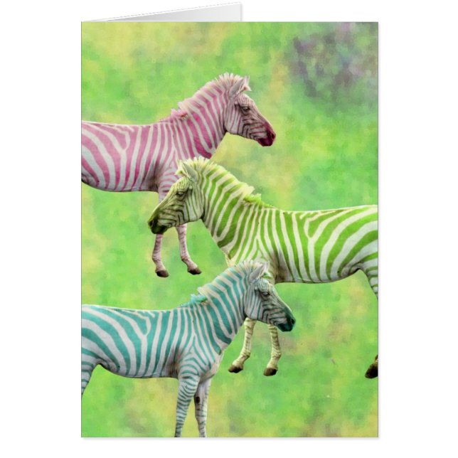 Bunte Zebras (Vorne)