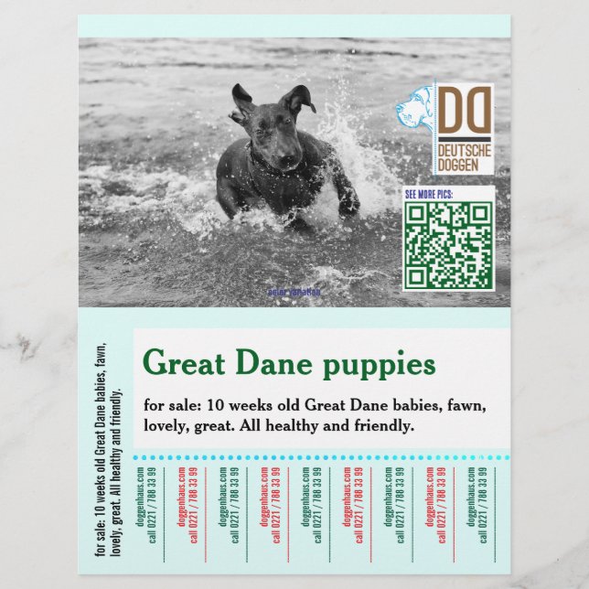 Bunter abreißbarer Hundeflyer  Flyer (Vorne)